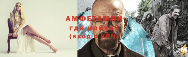 крисы Болотное