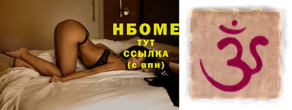 крисы Болотное