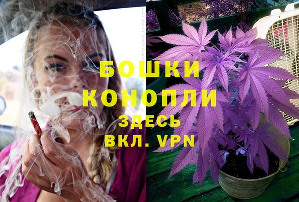 прущая мука Болхов