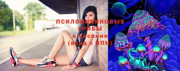 крисы Болотное