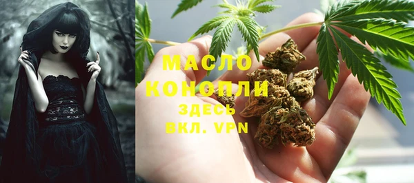 крисы Болотное