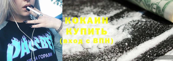 крисы Болотное