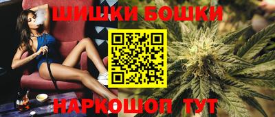 шишки Будённовск