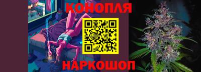шишки Будённовск