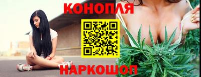 гидра Бузулук
