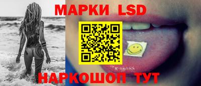шишки Будённовск