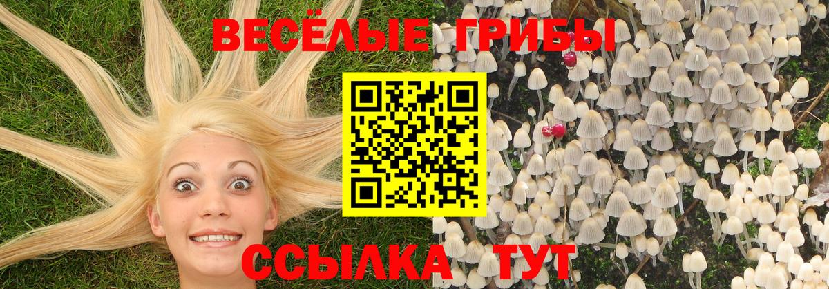 Бутират Заинск